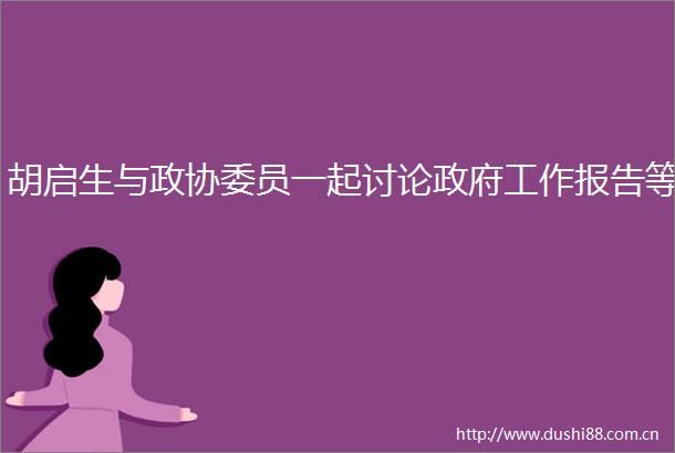 胡启生与政协委员一起讨论工作报告等
