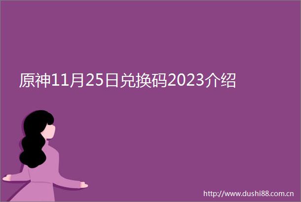 原神11月25日兑换码2023介绍