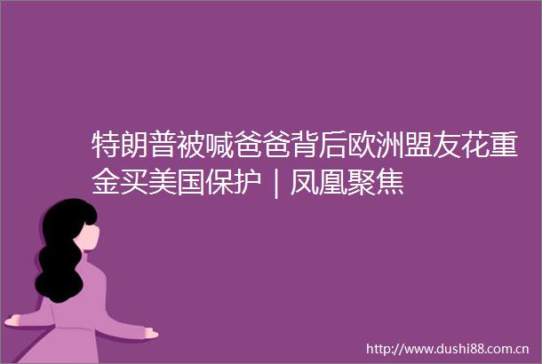 特朗普被喊爸爸背后欧洲盟友花重金买美国保护｜凤凰聚焦