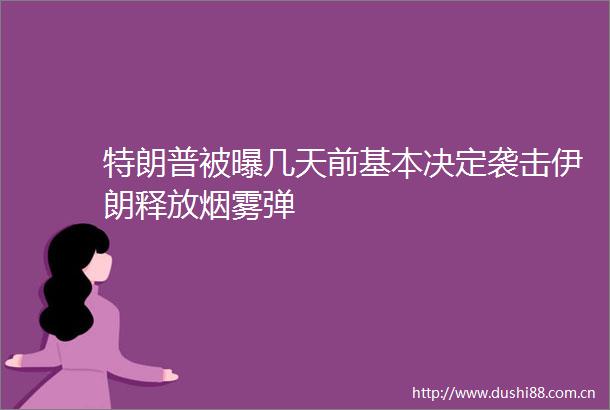 特朗普被曝几天前基本决定袭击伊朗释放烟雾弹