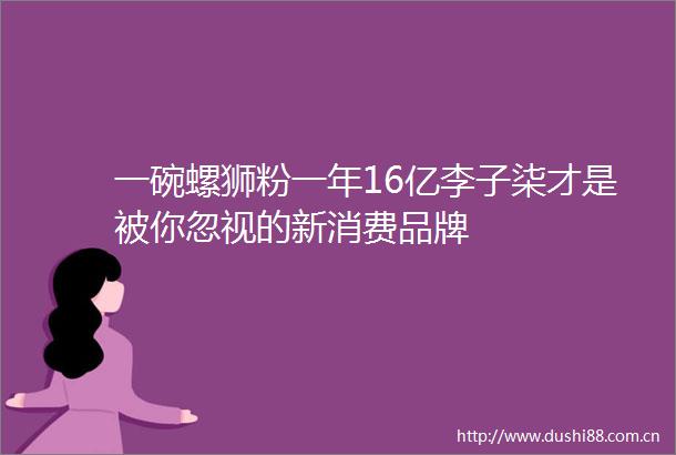 一碗螺狮粉一年16亿李子柒才是被你忽视的新消费品牌