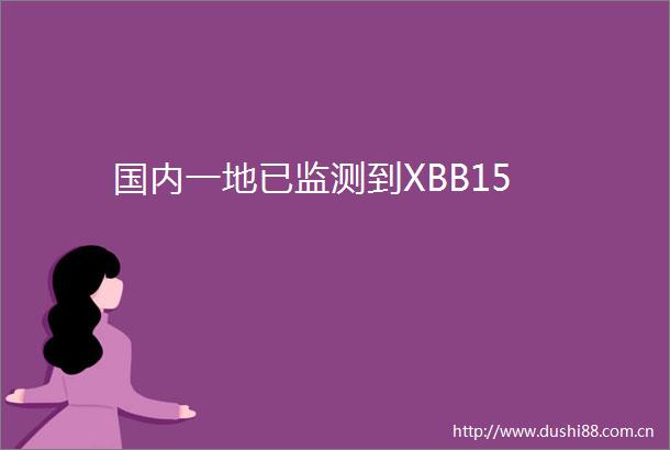 国内一地已监测到XBB15
