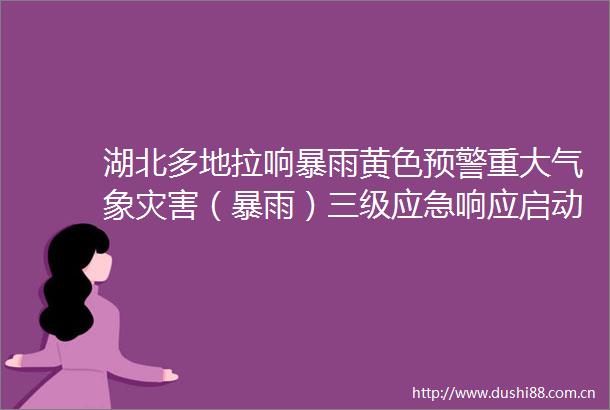 湖北多地拉响暴雨黄色预警重大气象灾害（暴雨）三级应急响应启动