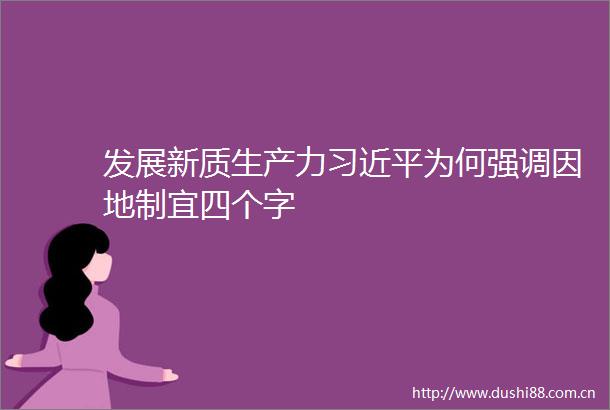 发展新质生产力为何强调因地制宜四个字