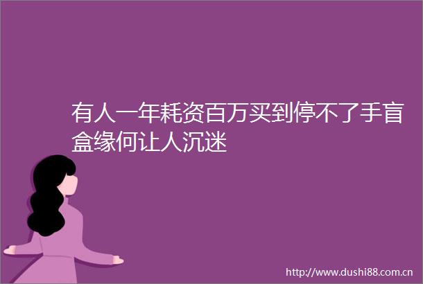 有人一年耗资百万买到停不了手盲盒缘何让人沉迷