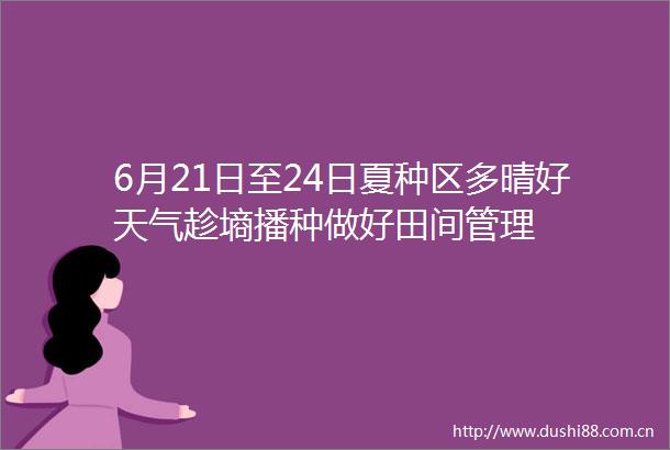 6月21日至24日夏种区多晴好天气趁墒播种做好田间管理