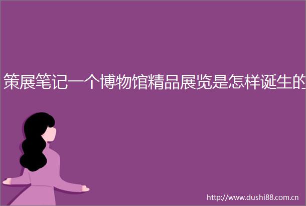 策展笔记一个博物馆精品展览是怎样诞生的