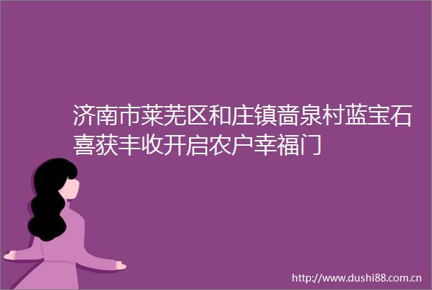 济南市莱芜区和庄镇啬泉村蓝宝石喜获丰收开启农户幸福门
