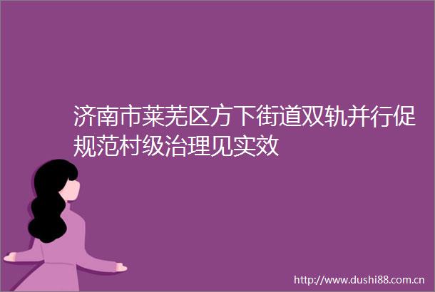 济南市莱芜区方下街道双轨并行促规范村级治理见实效