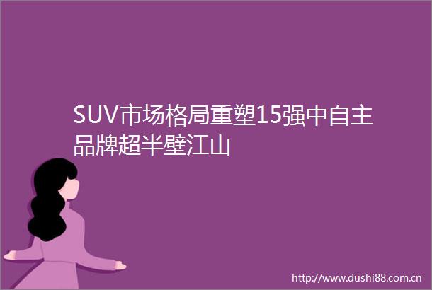 SUV市场格局重塑15强中自主品牌超半壁江山