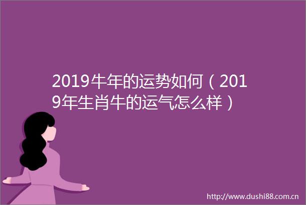 2019牛年的运势如何（2019年生肖牛的运气怎么样）