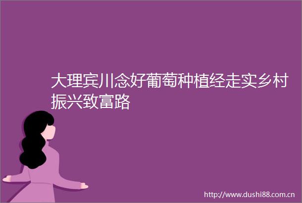 大理宾川念好葡萄种植经走实乡村振兴致富路