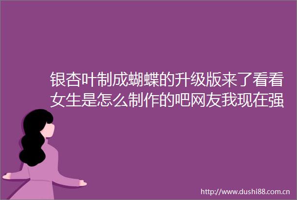 银杏叶制成蝴蝶的升级版来了看看女生是怎么制作的吧网友我现在强得可怕