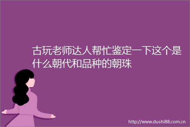 古玩老师达人帮忙鉴定一下这个是什么朝代和品种的朝珠