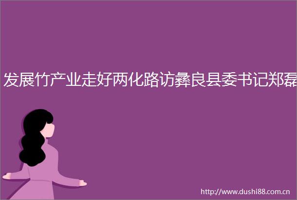 发展竹产业走好两化路访彝良县委书记郑磊