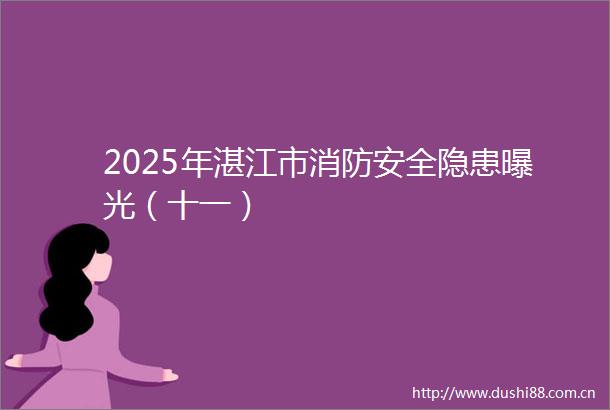 2025年湛江市消防安全隐患（十一）