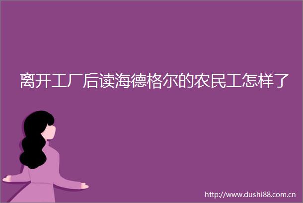 离开工厂后读海德格尔的农民工怎样了