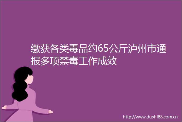 缴获各类毒品约65公斤泸州市通报多项禁毒工作成效