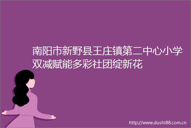 南阳市新野县王庄镇第二中心小学双减赋能多彩社团绽新花