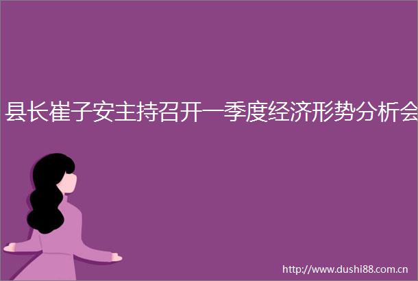 县长崔子安主持召开一季度经济形势分析会