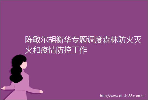 陈敏尔胡衡华专题调度森林防火灭火和疫情防控工作