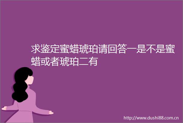 求鉴定蜜蜡琥珀请回答一是不是蜜蜡或者琥珀二有
