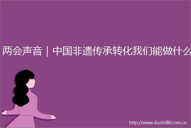 两会声音｜非遗传承转化我们能做什么