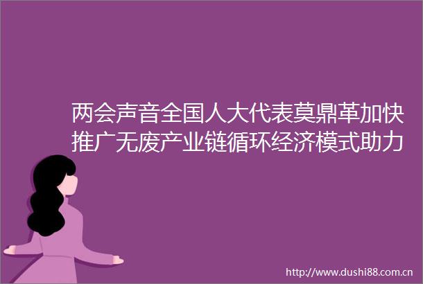 两会声音全国人大代表莫鼎革加快推广无废产业链循环经济模式助力绿色低碳转型