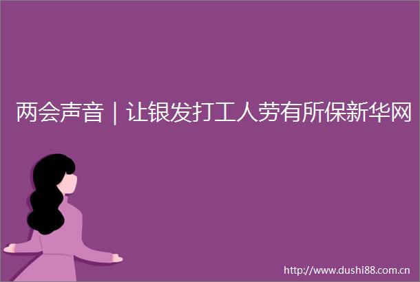 两会声音｜让银发打工人劳有所保新华网