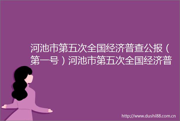 河池市第五次全国经济普查公报（第一号）河池市第五次全国经济普查顺利完成