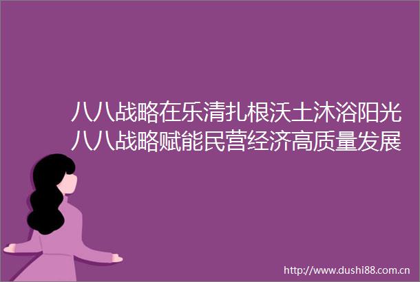 八八战略在乐清扎根沃土沐浴阳光八八战略赋能民营经济高质量发展
