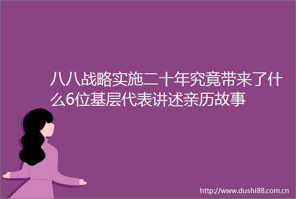 八八战略实施二十年究竟带来了什么6位基层代表讲述亲历故事