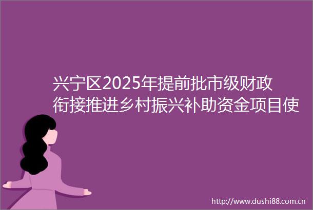 兴宁区2025年提前批市级财政衔接推进乡村振兴补助资金项目使用计划公告