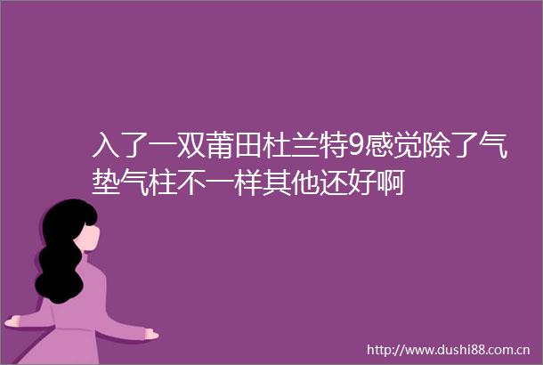 入了一双莆田杜兰特9感觉除了气垫气柱不一样其他还好啊