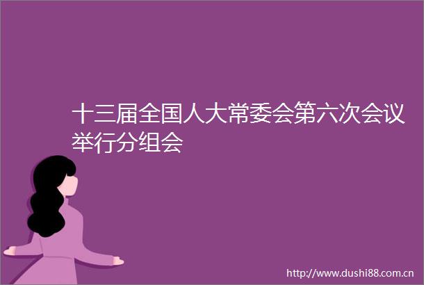 十三届全国人大常委会第六次会议举行分组会