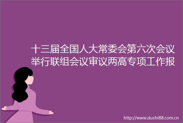 十三届全国人大常委会第六次会议举行联组会议审议两高专项工作报告并开展专题询问