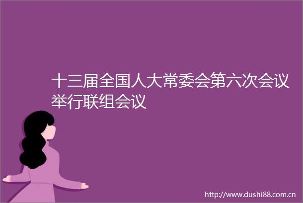 十三届全国人大常委会第六次会议举行联组会议