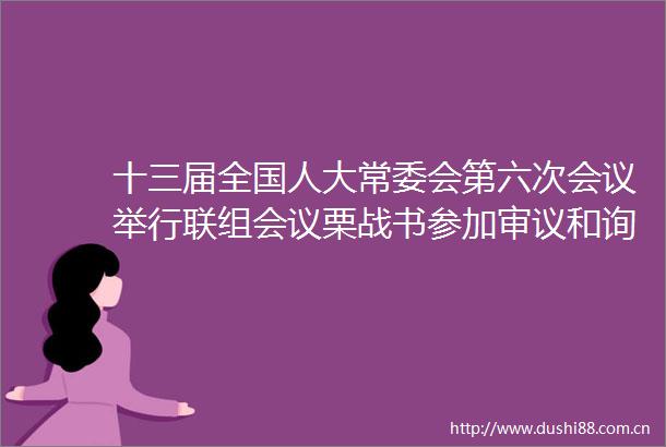 十三届全国人大常委会第六次会议举行联组会议栗战书参加审议和询问