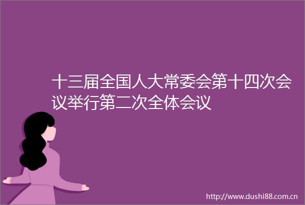十三届全国人大常委会第十四次会议举行第二次全体会议