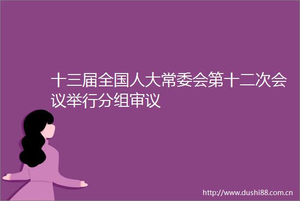 十三届全国人大常委会第十二次会议举行分组审议