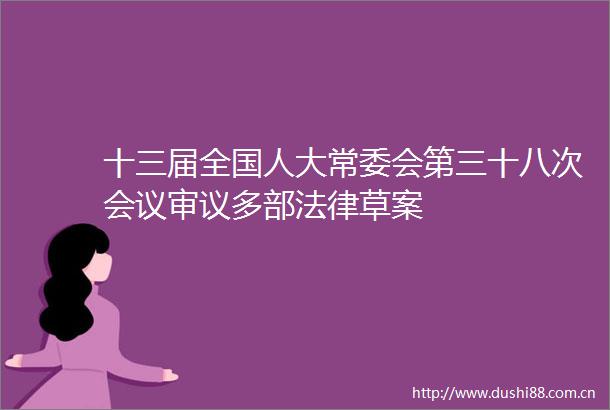 十三届全国人大常委会第三十八次会议审议多部草案