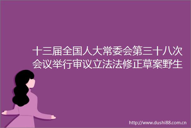 十三届全国人大常委会第三十八次会议举行审议立法法修正草案野生动物保护法修订草案等