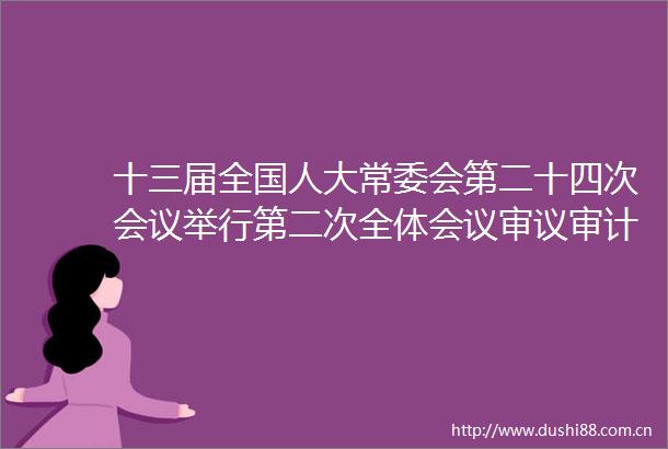 十三届全国人大常委会第二十四次会议举行第二次全体会议审议审计查出问题整改情况报告等
