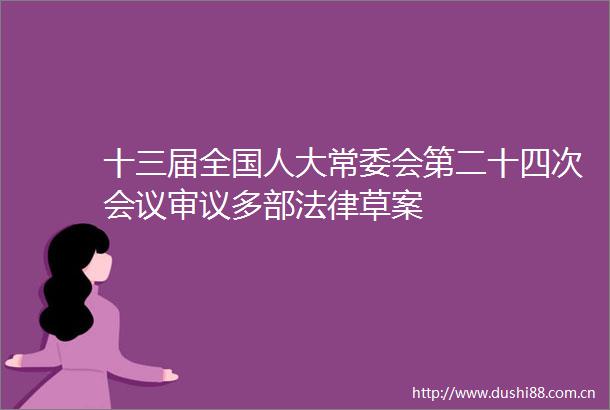 十三届全国人大常委会第二十四次会议审议多部草案