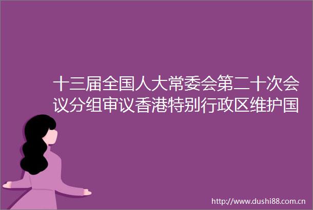 十三届全国人大常委会第二十次会议分组审议香港特别行政区维护安全法草案
