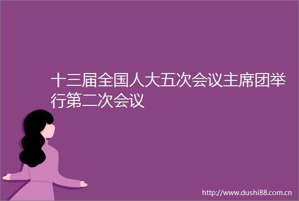 十三届全国人大五次会议团举行第二次会议