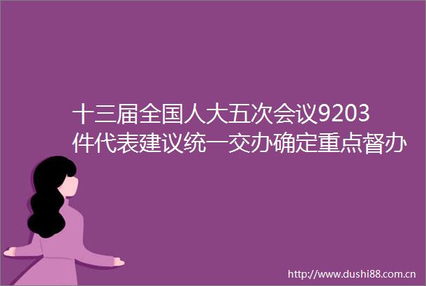 十三届全国人大五次会议9203件代表建议统一交办确定重点督办建议22项