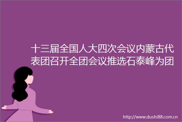 十三届全国人大四次会议内蒙古代表团召开全团会议推选石泰峰为团长林少春刘奇凡那顺孟和为副团长