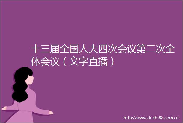 十三届全国人大四次会议第二次全体会议（文字直播）