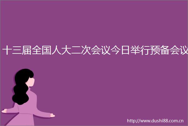 十三届全国人大二次会议今日举行预备会议